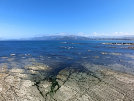 kaikoura (29)